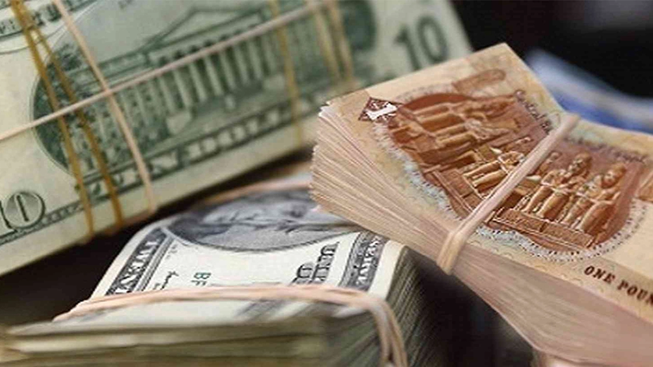 تراجع سعر الدولار أمام الجنيه المصري في ختام تعاملات يوم الخميس